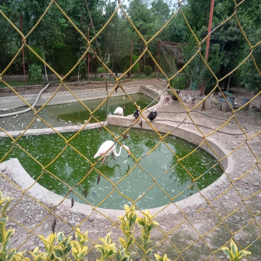 مدرسه غیردولتی آوا