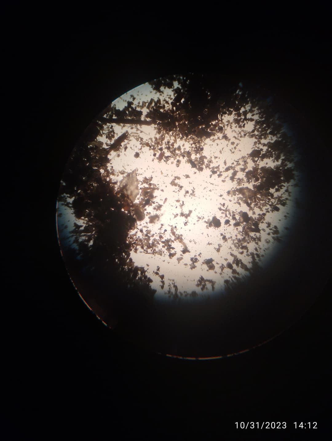 تصویر مقاله